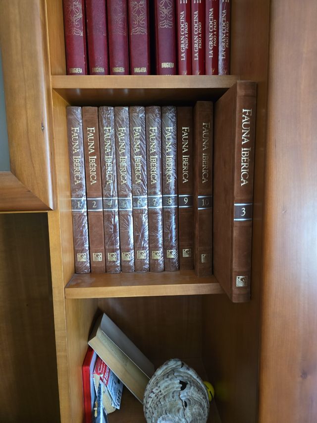 Enciclopedia Salvat De La Fauna Ibérica Y Europea