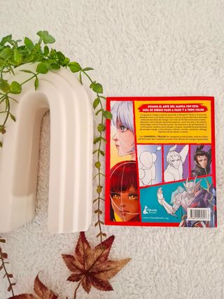 Cómo dibujar manga: Una guía paso a paso