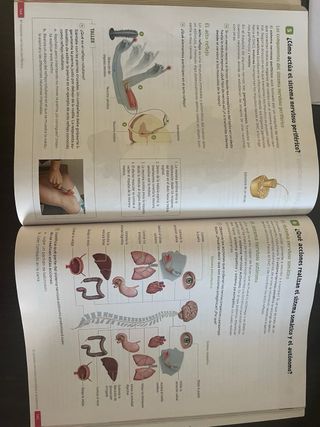 Biología y Geología. 3 Secundaria. Revuela. Com...