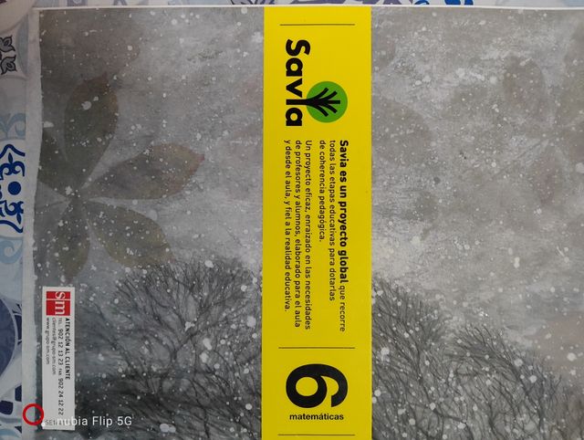 Matemáticas. 6 Primaria. Savia (Spanish Edition)