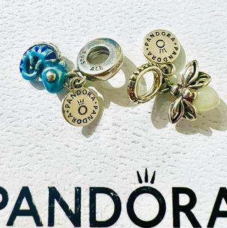 Pandora charm