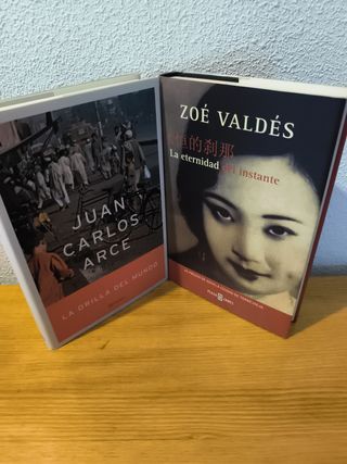 LOTE DE LIBROS NOVELA ACTUAL, INTRIGA, DRAMA