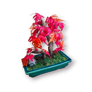 Mini Bonsai Artificial - Maple Vermelho