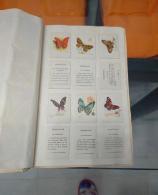 Álbumes vintage postales