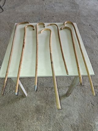 Bastoni da passeggio AR antichi