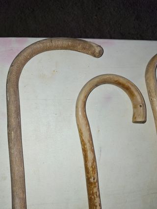 Bastoni da passeggio AR antichi