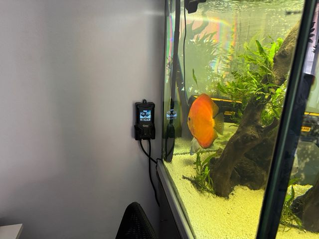 Acuario 500L -pecera grande