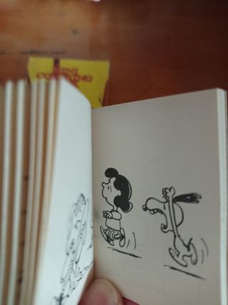 Mini cuentos Snoopy 