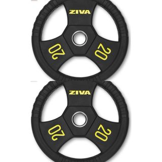 Discos Ziva 20kg - 2 unidades