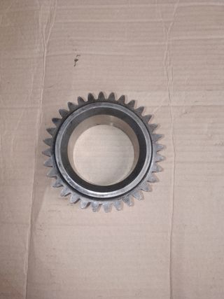 Piñón cigueñal Ford Transit 974F-6306-AB
