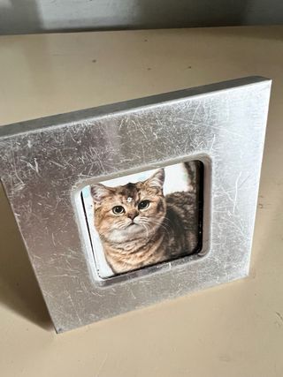 Cornice portafoto in metallo