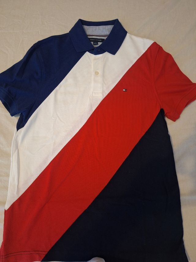 Polo Tommy Hilfiger tricolor