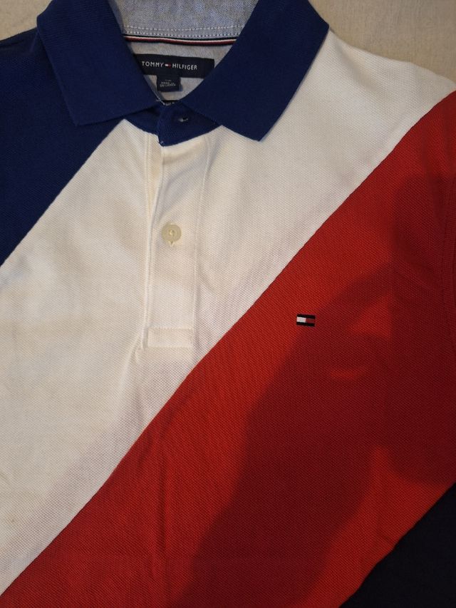 Polo Tommy Hilfiger tricolor