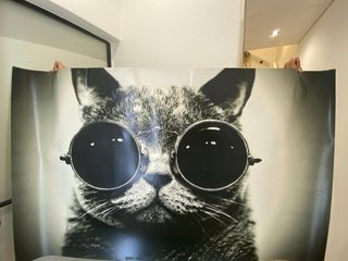 Poster Gato Cool - 161x101cm.