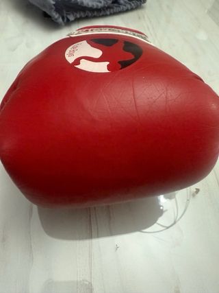 Guantes boxeo Rude Boys + vendas