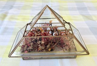 Terrario de cristal: 24cm x 13cm x 18cm .