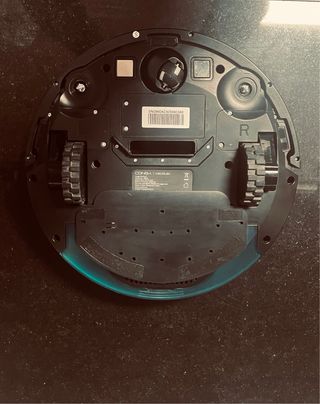 Conga Animal X Cecotec - Aspirador