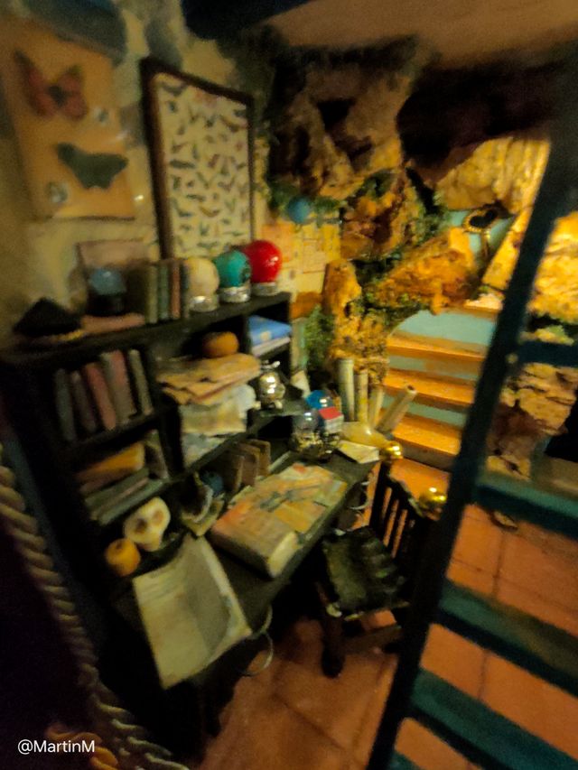 SALDO Booknook Gabinete Curiosidades