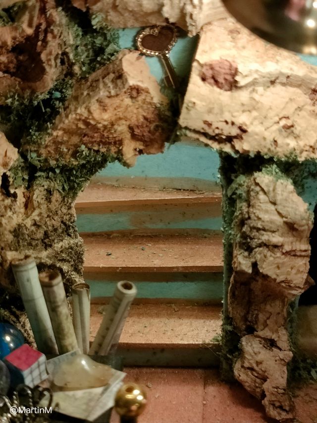 SALDO Booknook Gabinete Curiosidades