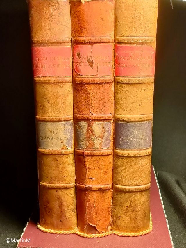 SALDO Booknook Gabinete Curiosidades