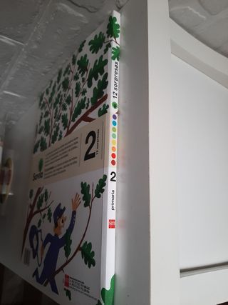 Lecturas: 12 sorpresas. 2 Primaria. Savia