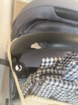Inglesina Electa modelo año 2024