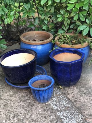 5 Macetas Cerámica Azul