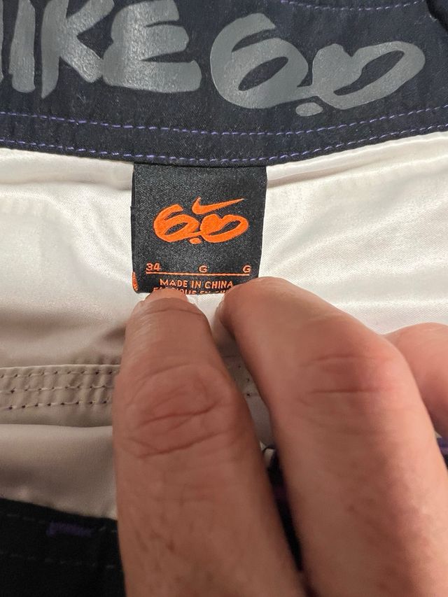 Bañador Nike 6.0 rayas moradas