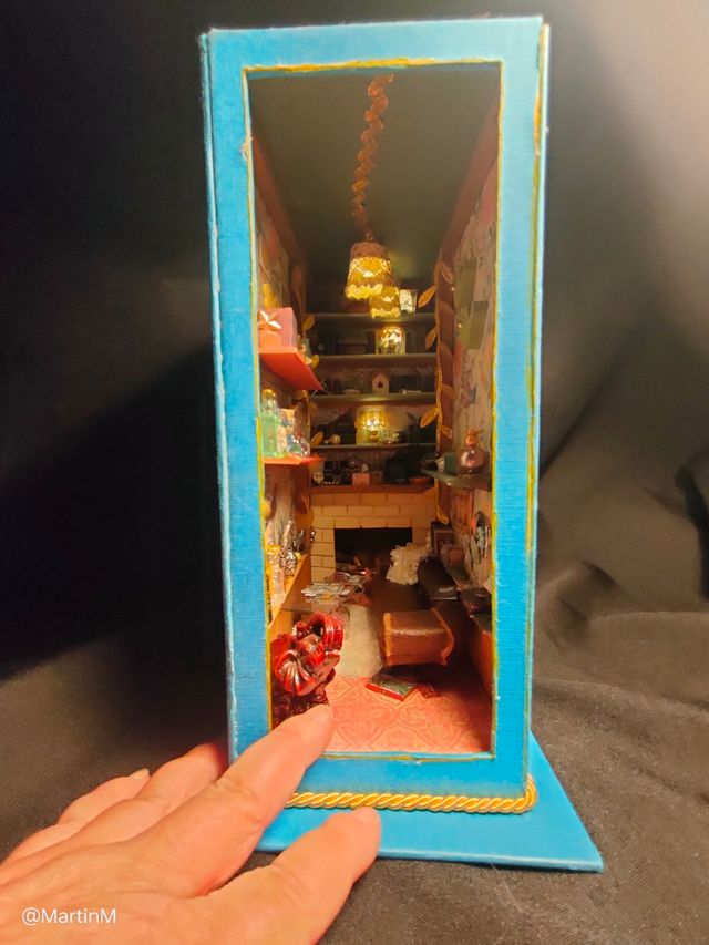 SALDO Booknook El Diccionario