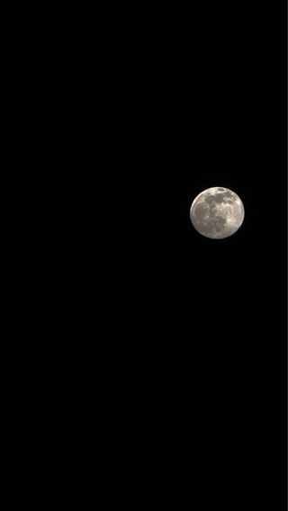Celestron Astromaster 127EQ