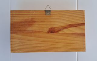 Placa vagon RENFE CAF 1976 + 2 Tornillos