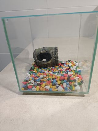 Mini Pecera 15x15cm con Adornos