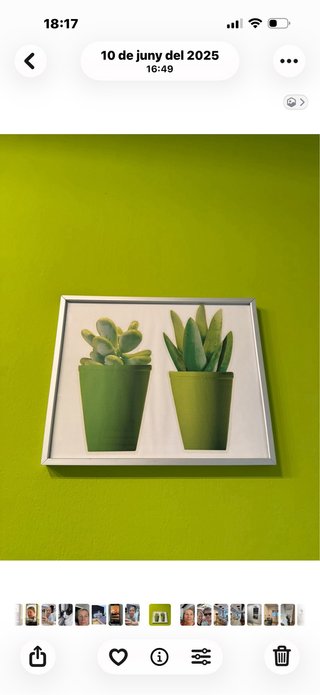 Cuadro suculentas - Decoración