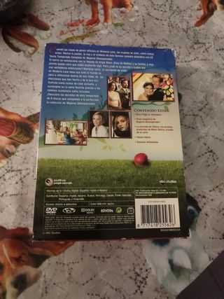 Mujeres Desesperadas - Temporada 6 DVD
