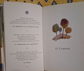Libro de Paulo Coelho: "Vida" (2007)
(Tapa dura)