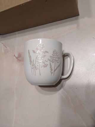 6 Tazze 
in ceramica beige