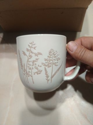 6 Tazze 
in ceramica beige