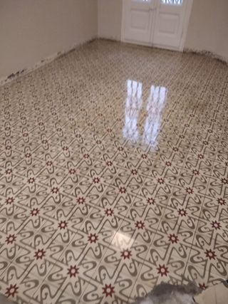 Pulidos abrillantado de suelos reformas y pintura 