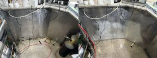 Limpieza profesional de pisos, casas y oficinas