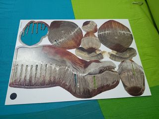 Puzzle 3D Dinosaurio Rex 82 piezas