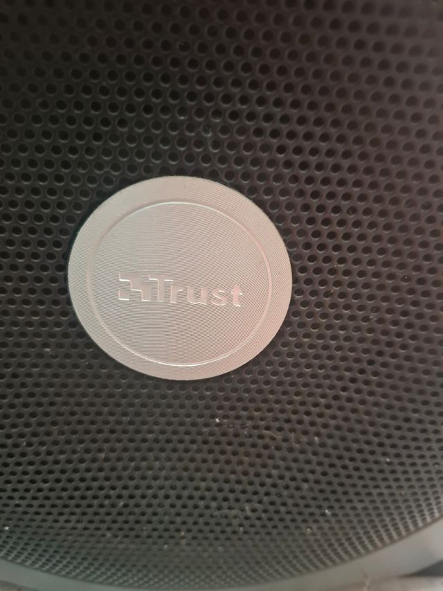 Altavoces 2.1 Trust - Subwoofer