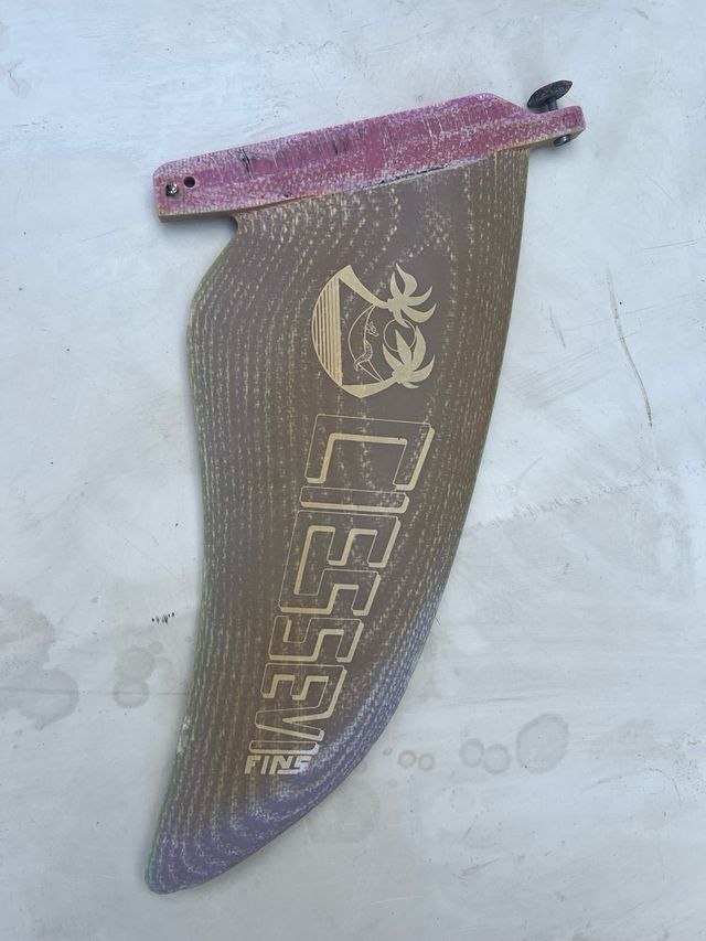 Aleta windsurf - CIESSEVI