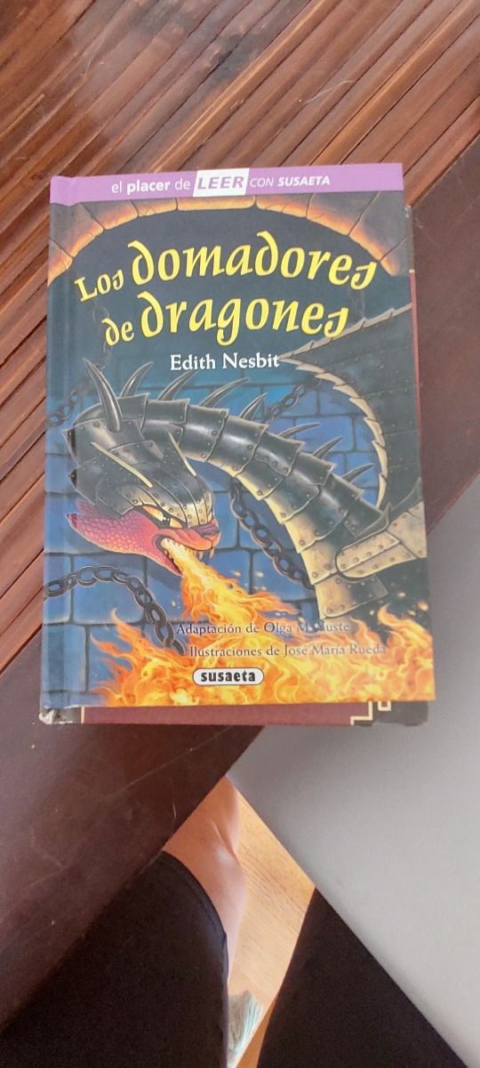 Los domadores de dragones