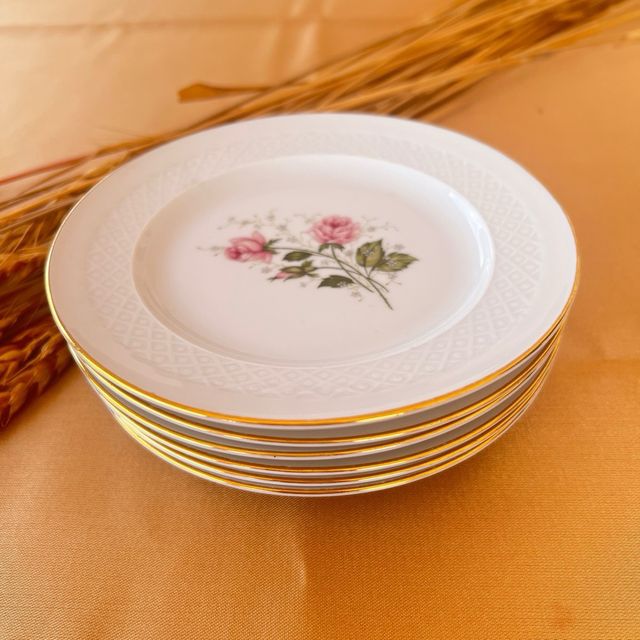 Conjunto 6 Platos porcelana Bavaria
