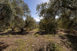 Terreno en venta en Dúrcal