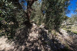 Terreno en venta en Dúrcal