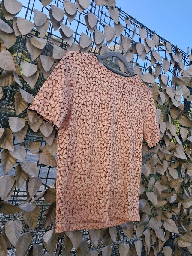 Top in pizzo rosa ZARA Trafaluc