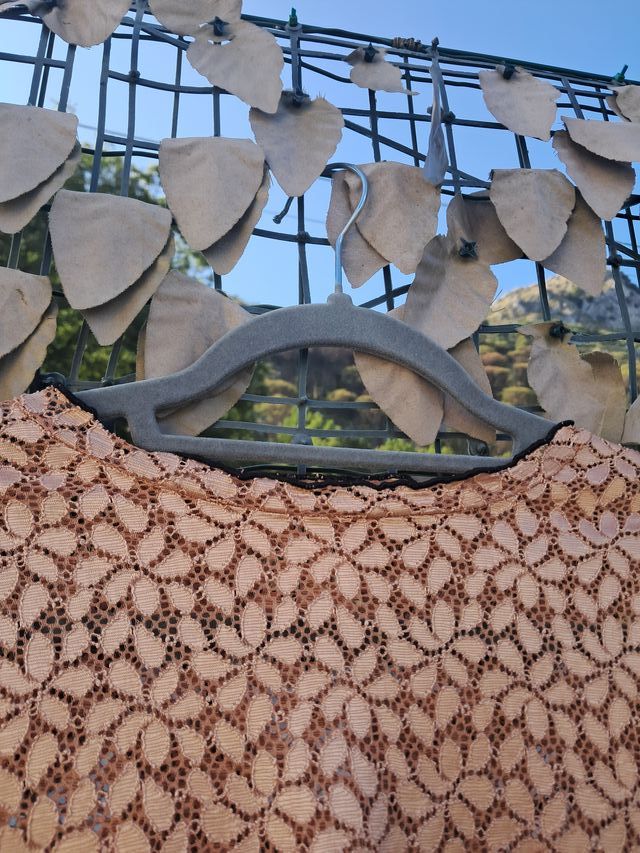 Top in pizzo rosa ZARA Trafaluc