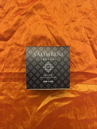 SALIMBENI Profumatore auto ricaricabile X2 Legno