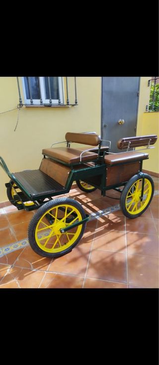 Carruaje Pony Shetland